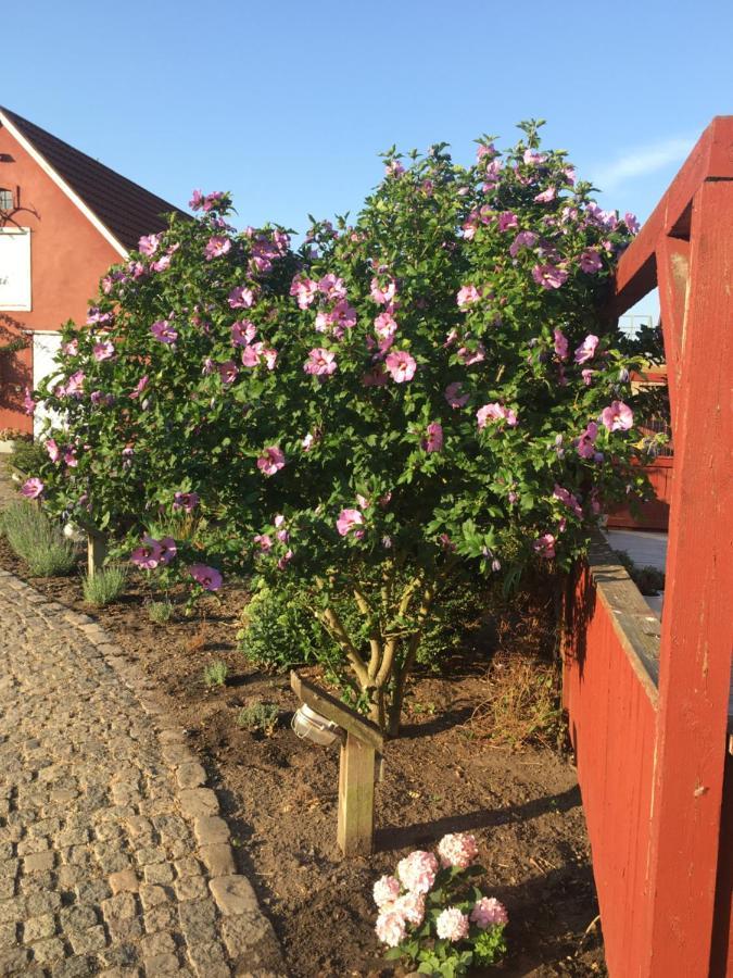 Hos Mette Bed & Breakfast Børkop Exterior foto